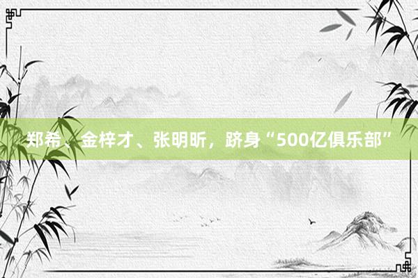 郑希、金梓才、张明昕，跻身“500亿俱乐部”